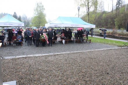 obchody święta 3 maja